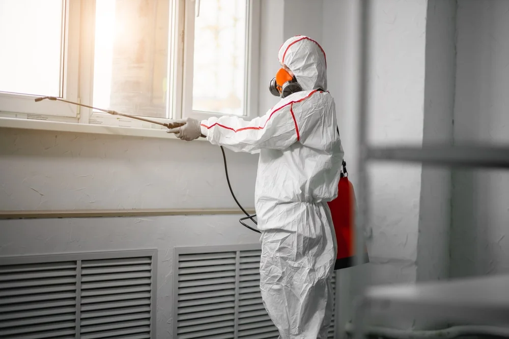 Professional mold remediation services in Gilman, CT